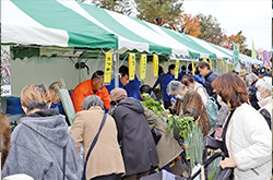 賑わうテントの様子を写した写真