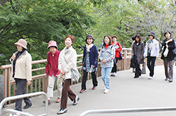 第35回 国立市農業展（11月17・18日）