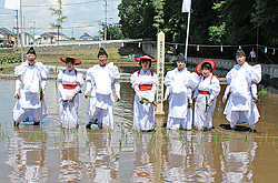 御田植祭
