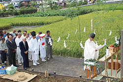 宮中新嘗祭献穀抜穂の儀