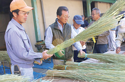 宮中新嘗祭献穀 選粒・精藁作業