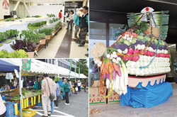 第37回 国立市農業展