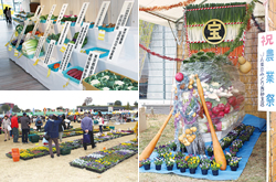 平成26年度 立川市農業祭