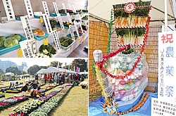 平成27年度 立川市農業祭