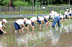 国立稲作体験学習会