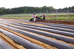 熊本地震ＪＡグループ支援隊に参加
