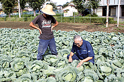 営農指導を実施