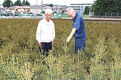 営農指導を実施
