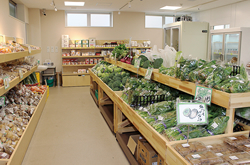 経済センター昭島店・農産物直売所「みどりっ子昭島店」が仮オープン