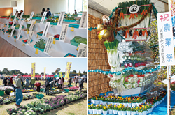 平成28年度 立川市農業祭