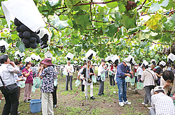 年金友の会日帰り旅行
